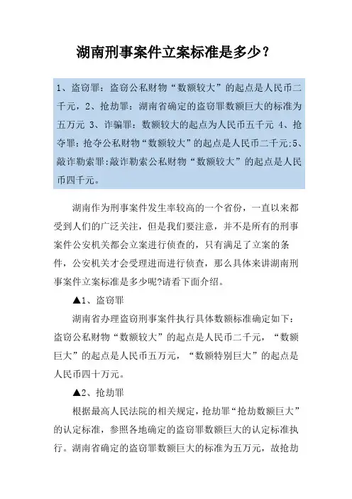 湖南刑事案件立案标准是多少？