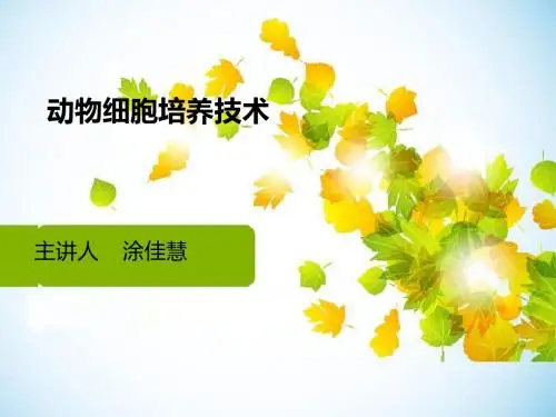动物细胞培养技术