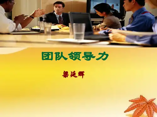 团队领导力