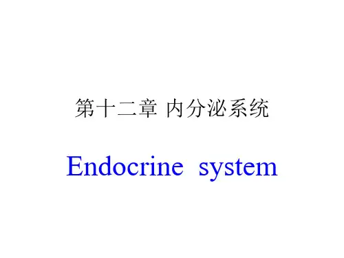 人体解剖生理学课件:第12章 内分泌系统