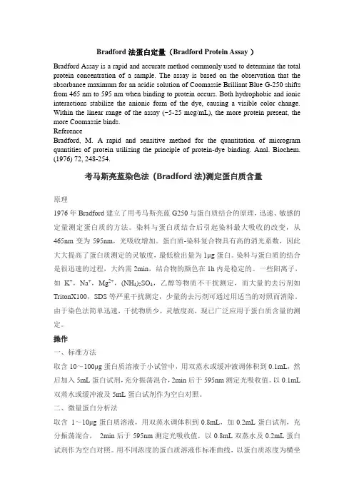 蛋白质定量检测方法