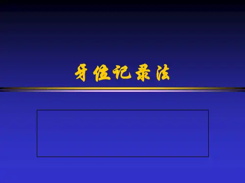 牙位记录 ppt课件