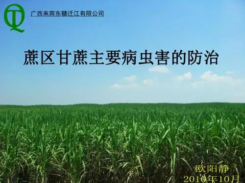 甘蔗主要病虫害的防治培训