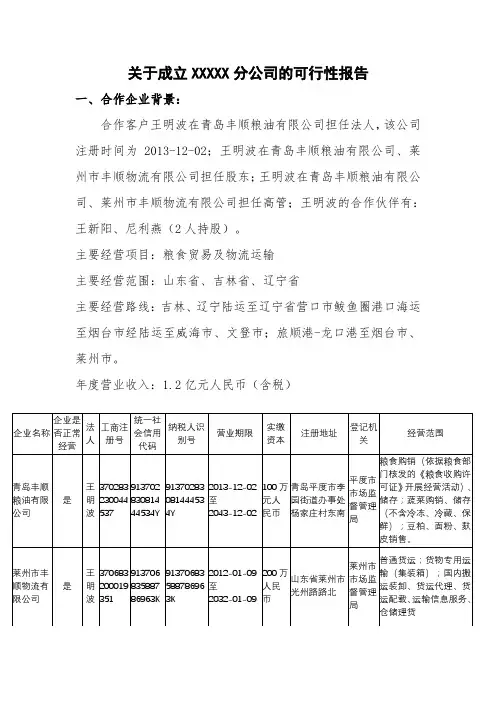 关于成立分公司的可行性报告