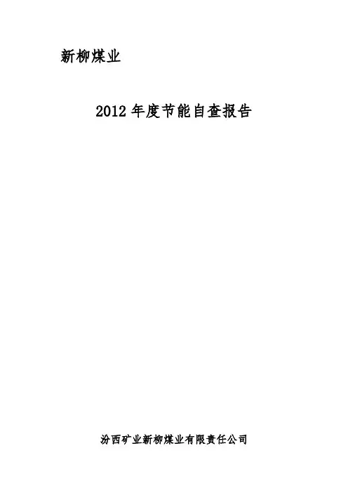 自查报告洗煤厂