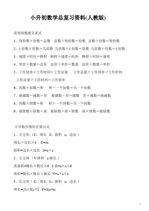 小升初数学总复习资料(人教版)