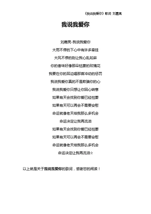 《我说我爱你》歌词 刘嘉亮