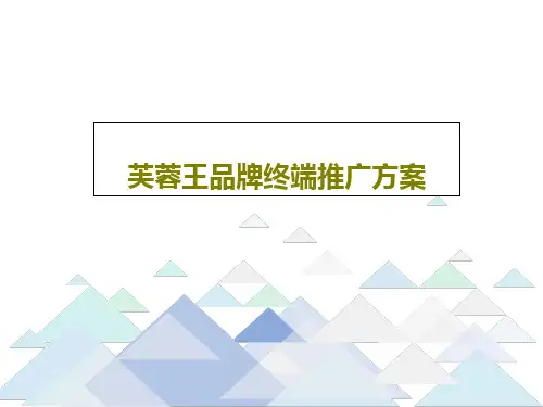 芙蓉王品牌终端推广方案共33页