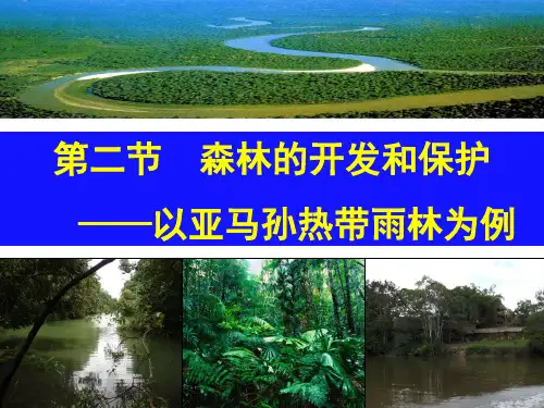 亚马孙热带雨林的开发与保护(ppt 48页)