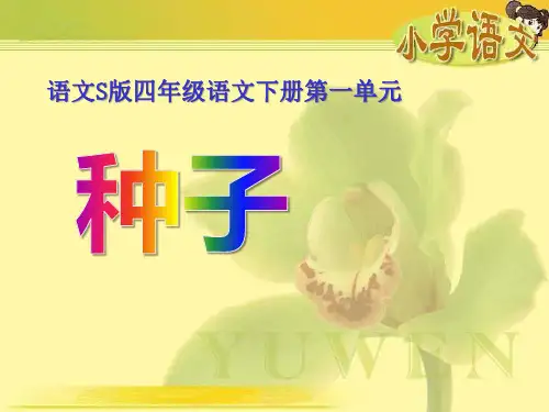 《种子》PPT课件四