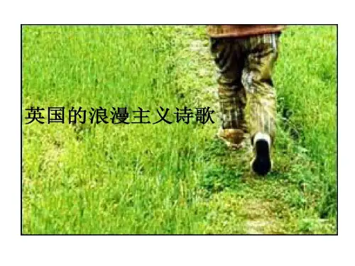 英国浪漫主义诗歌共66页文档