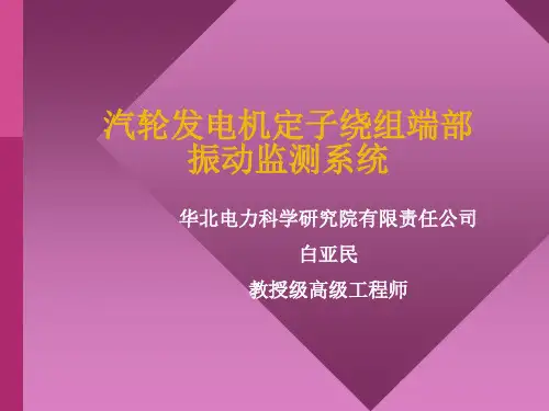 发电机定子绕组端部振动监测系统