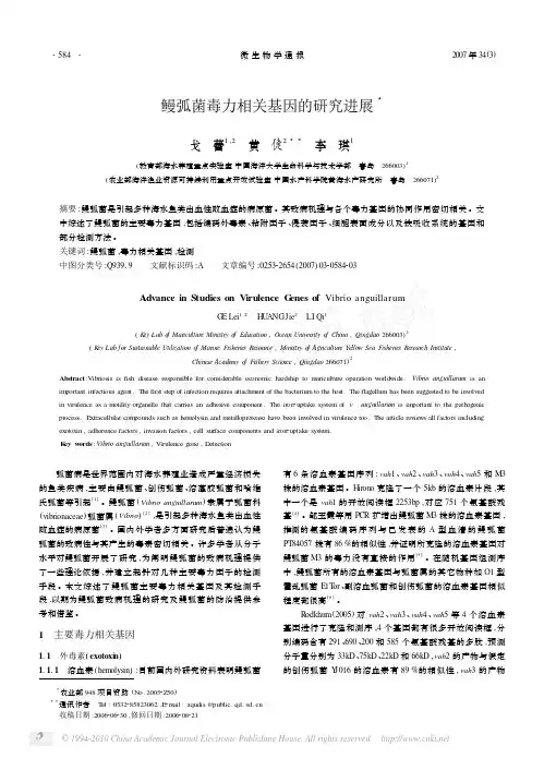 鳗弧菌毒力相关基因的研究进展