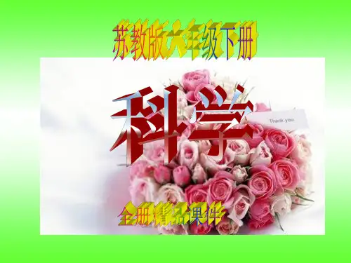 苏教版科学六年级下册全册课件