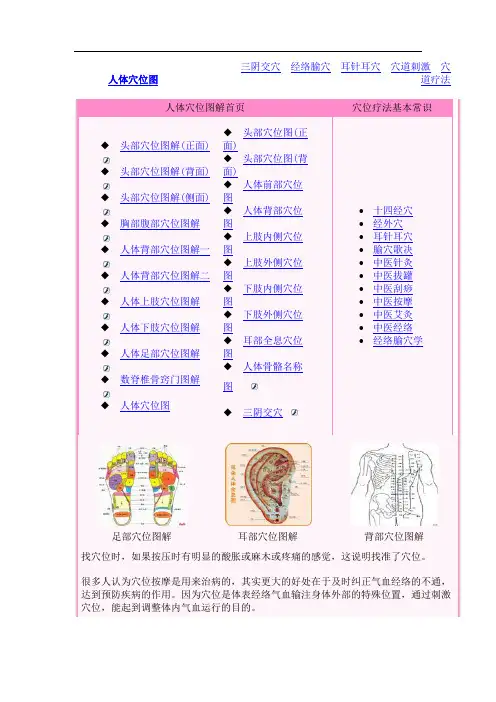 人体穴位图1