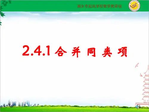 2.5整式的加法和减法(1)