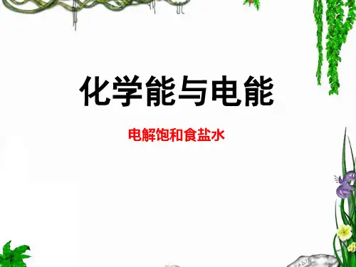 电解饱和食盐水