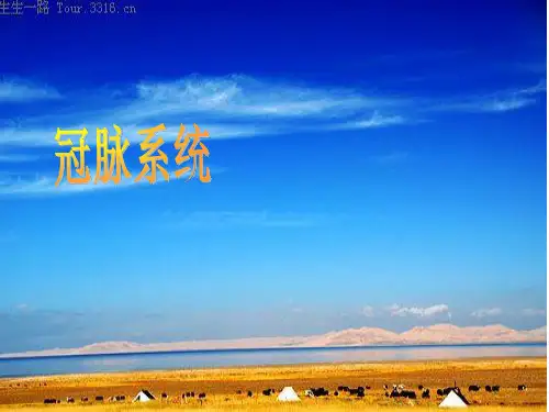 冠脉血管ppt课件