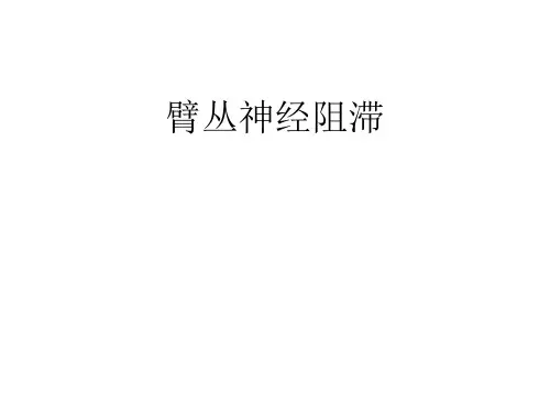 臂丛神经阻滞