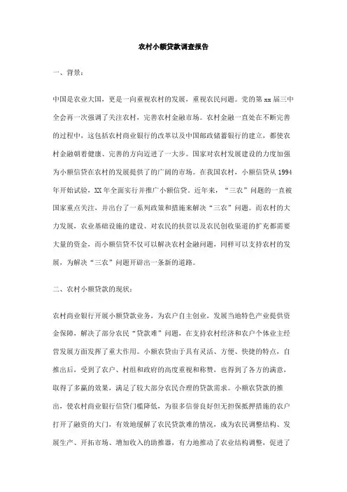 农村小额贷款调查报告