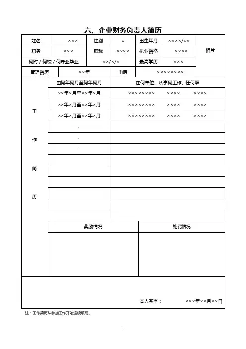 企业财务负责人简历