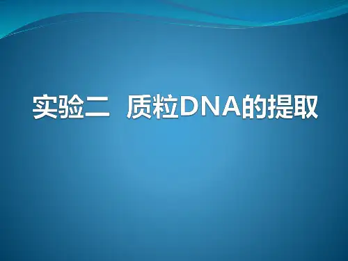 质粒DNA的提取