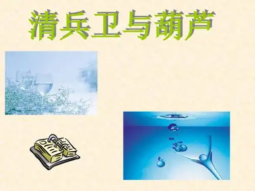 九年级语文清兵卫与葫芦(201909)