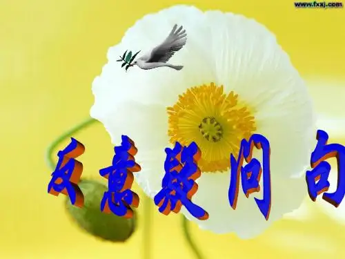 初中英语反义疑问句归纳与练习.