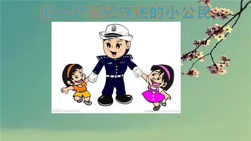 小学生的普法教育学习课件.ppt