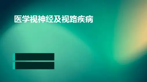 医学:视神经及视路疾病