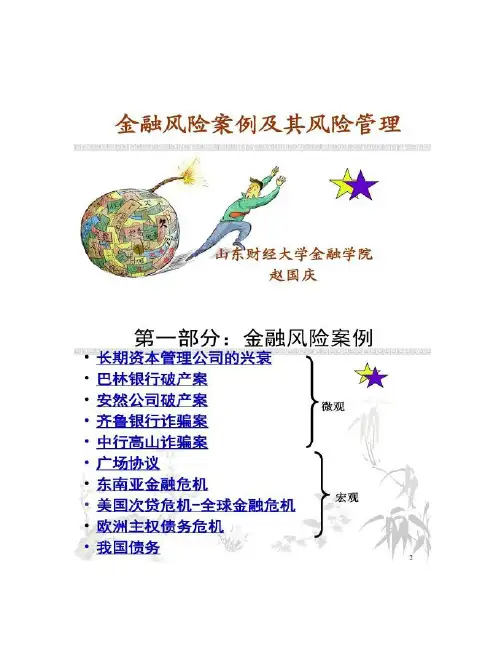 金融风险案例及其风险管理