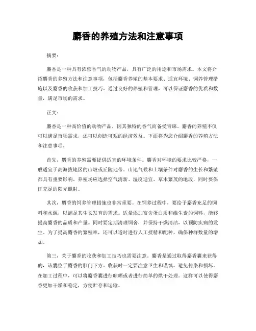 麝香的养殖方法和注意事项