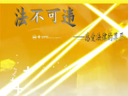法不可违PPT课件3公开课