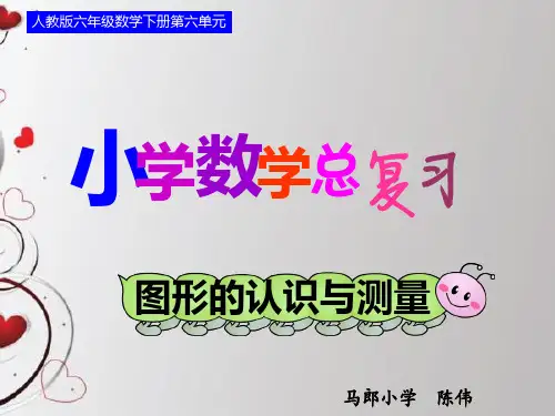 图形的认识与测量—立体图形