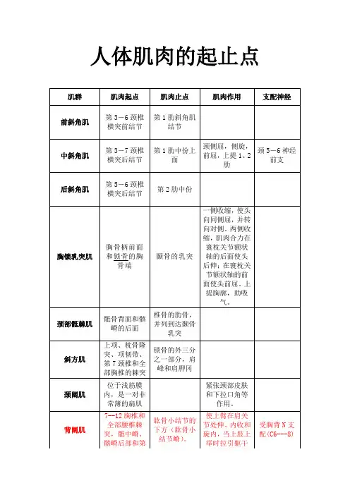 人体肌肉的起止点