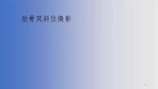 肋骨双斜位摄影