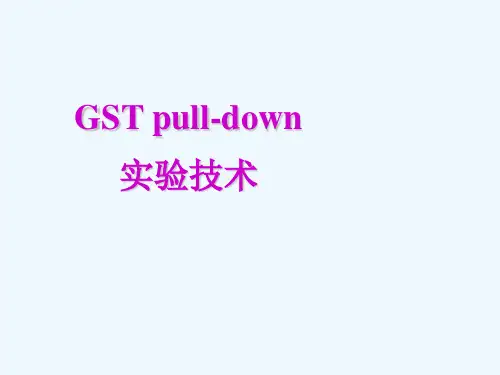 GST pull-down实验技术