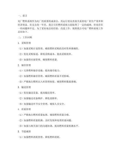 电厂燃料系统工作总结报告