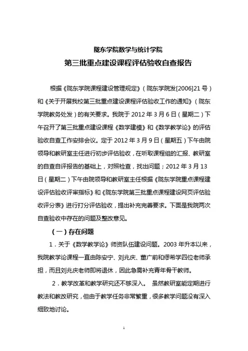 存在的主要问题及整改意见