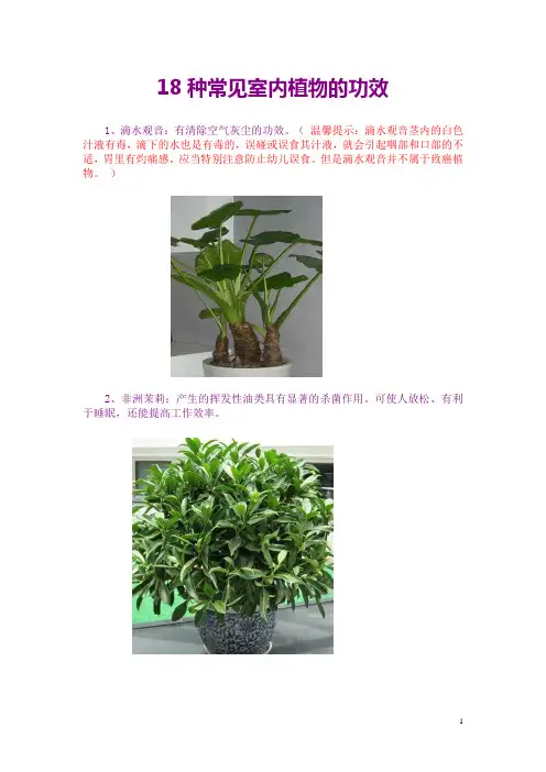 18种常见室内植物的功效(A)