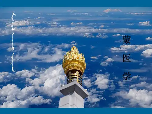 蒙医学辨证论治