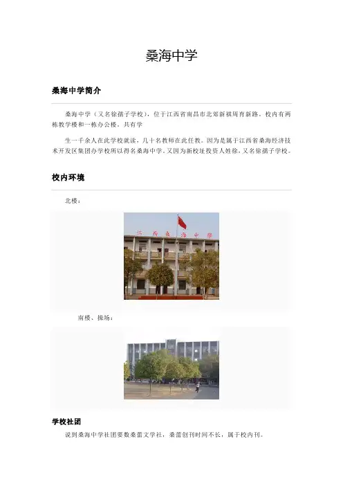 江西桑海中学
