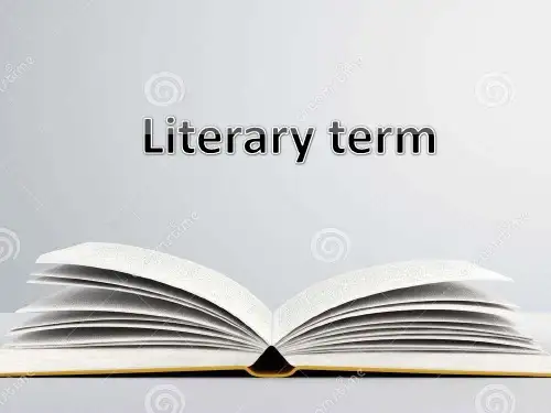 Literary term文学术语