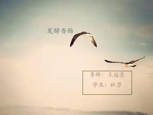 发酵香肠