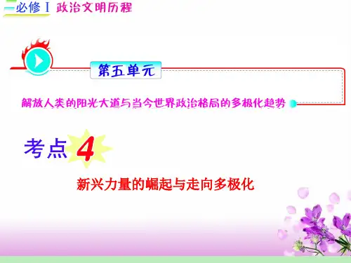 历史：2012届高考一轮复习 第5单元 考点4《新兴力量的崛起与走向多极化》课件(福建专用必修1)