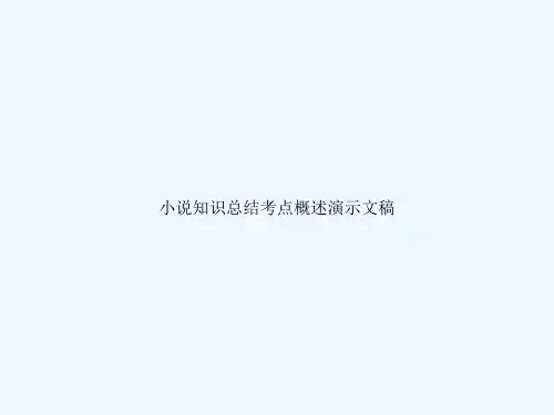 小说知识总结考点概述演示文稿