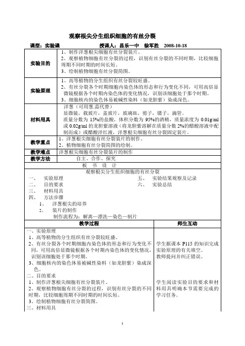 观察根尖分生组织细胞的有丝分裂 2