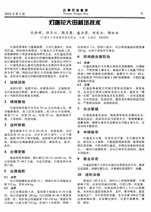 灯盏花大田栽培技术