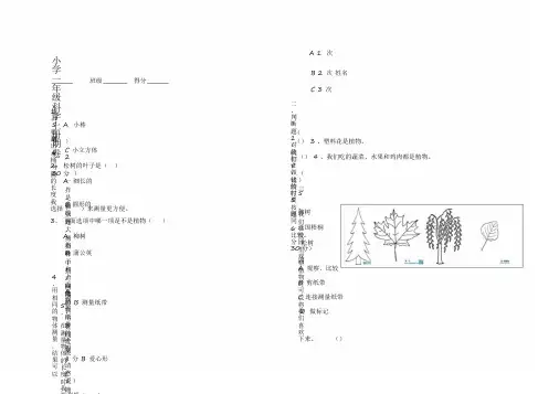 2020教科版小学一年级科学上册期末试卷
