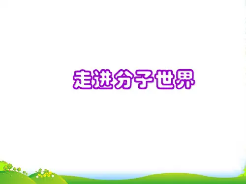 苏科版八年级物理下册课件 7.1走进分子世界(共21张PPT)